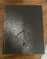 Bloodborne Collector’s Edition Strategy Guide Hardcover English by Various