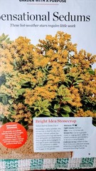 SMALL PAPERBACK BOOK BIRDS & BLOOMS FALL BIRDS OCTOBER/NOVEMBER 2024 ADDITION