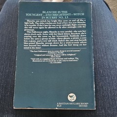 The Blue-Nosed Witch Paperback Illustrated Margaret Embry Carl Rose Bantam 1975
