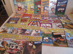 Fly Guys Tedd Arnold Books Lot Of 27 Book Bundle