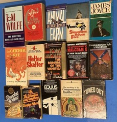 Paperback Book Lot Tom Wolf Vonnegut JD Salinger Douglas Adams Joyce Orwell