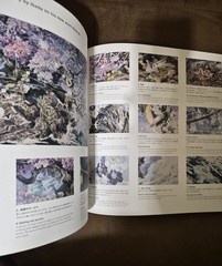 The Pen Manabu Ikeda Japanese Art Book 2017 Technical Pen Painting Japan