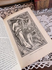 1899 The Red Book of Animal Stories by Andrew Lang Fairy Book Vintage