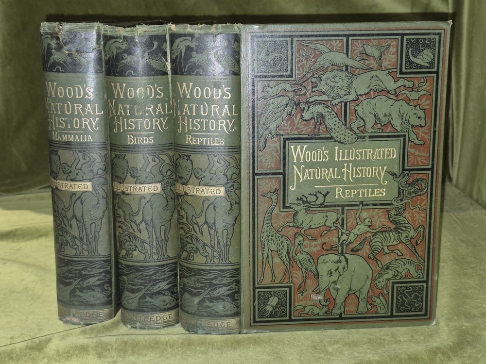 Wood’s Illustrated Natural History Mammals Birds Reptile