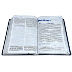 Bíblia de Estudo do Discipulado, Nova Almeida Atualizada, couro sintético