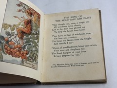 1927 Flower Fairies of the Autumn Cicely Mary Barker 1st American Ed Macmillan