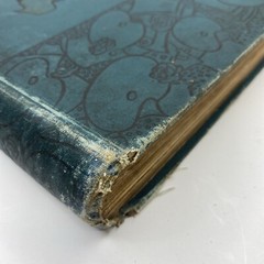 Lothrop’s Annual 1889 1st Ed.-Illus Lithographic Color Plates Children’s Book