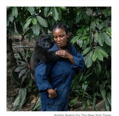 New York Times Magazine March 15 2026 Bili’s Journey Baby Gorilla Stephen Grosz