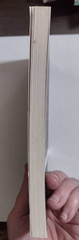 Tao Te Ching Lao Lao Tzu UK-B Paperback Book Penguin Classics Taosim Laozi World