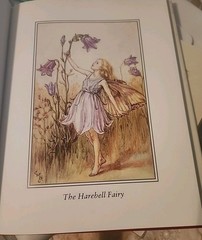 Cicely Mary Barker The Complete Book of the Flower Fairies Hardcover 1996 Warne