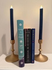 3 Book Literary Fiction Bundle Hamnet God of the Woods Songs in Ursa Major