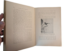 Moths and Butterflies Mary C. Dickerson 200 Photos 1901 HC Entomology Book