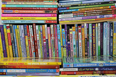Lot of 25 of Children’s Kids Chapter Books – Random – Free Shipping!