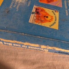 Welcome To The Big Blue House 13 Flaps To Lift Classic 90’s Kids Reading Book