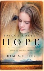 Bridge Called Hope: Stories of Triumph from t- paperback, 1590526554, Kim Meeder