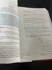 Applied Calculus for the Managerial, Life, and Social Sciences : A Brief…