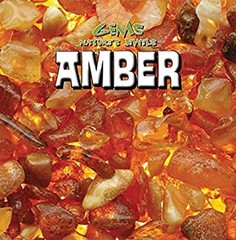 Amber Hardcover Michael Rajczak