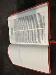 nkjv New King James bible large print red letter Leather Thinline