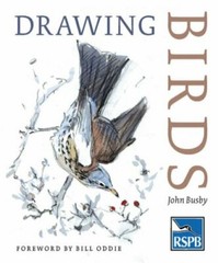Drawing Birds (RSPB) By John Busby
