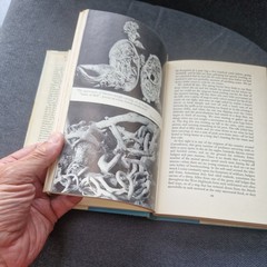 Ring of Bright Water – Gavin Maxwell – 1960 – Vintage Longmans Hardback Book