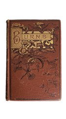 Robert Burns Poems Antique Book c1884 Crowell Gilt Decorative Victorian Binding