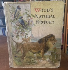Wood’s Illustrated Natural History by J. G. Wood MCLoughlin Bros c1880