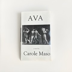 AVA Carole Maso 1993 First Edition LGBT Experimental Fiction Hardcover
