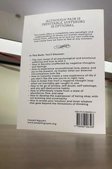 Don’t Believe Everything You Think by Joseph Nguyen Paperback Free Shipping