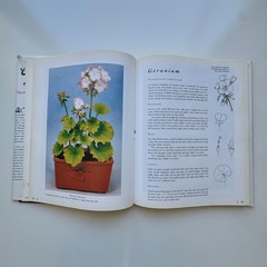 1997 Cakes by Design – The Magical World of Sugar Art