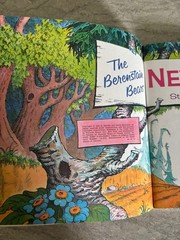 Lot of 10 Berenstain Bears Books 1970’s-1980’s