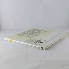 Brice Marden Cold Mountain Studies 1991 Hardcover w/ DJ 35 Sketchbook Plates