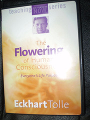 The Flowering of Human Consciousness (Eckhart Tolle, 2 DVDs, Mint, SHIPS FREE!)