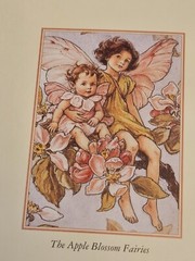 Flower Fairies Photo Album Cicely Mary Barker The Seasons Hardback Book