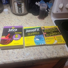 Java Programming Computer Science Lot