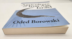 Agriculture in Iron Age Israel – 2009 Paperback By Oded Borowski