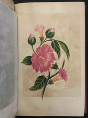 THE LADIES WREATH Antique Victorian Gift Book COLOR PLATES Fine Leather Binding