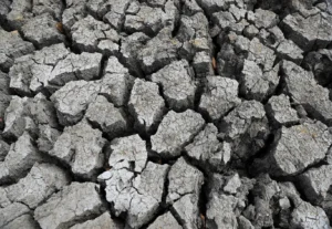 Solo rachado em uma represa, enquanto o Zimbábue enfrenta uma seca provocada pelo El Niño, resultando em desnutrição entre crianças menores de cinco anos, gestantes, mulheres que amamentam e adolescentes, em Mudzi, Zimbábue, 2 de julho de 2024. REUTERS/Philimon Bulawayo/File Photo